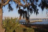 Daniel Island Image